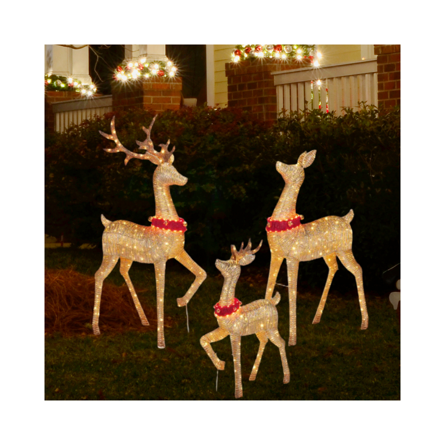 Christmas Lighted LED Deer Family with Bell Collars, Set of 3