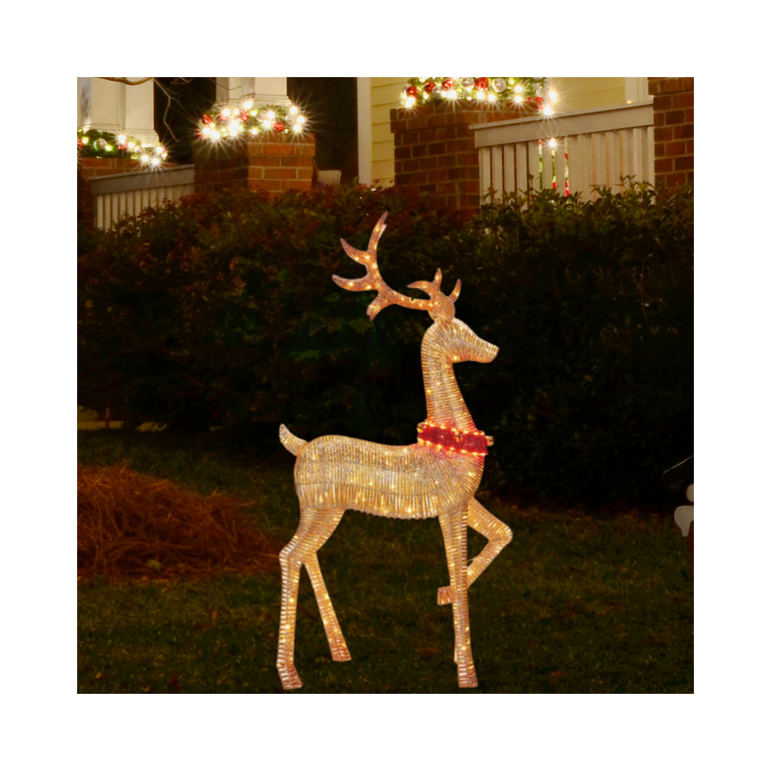 Christmas Lighted LED Deer Family with Bell Collars, Set of 3