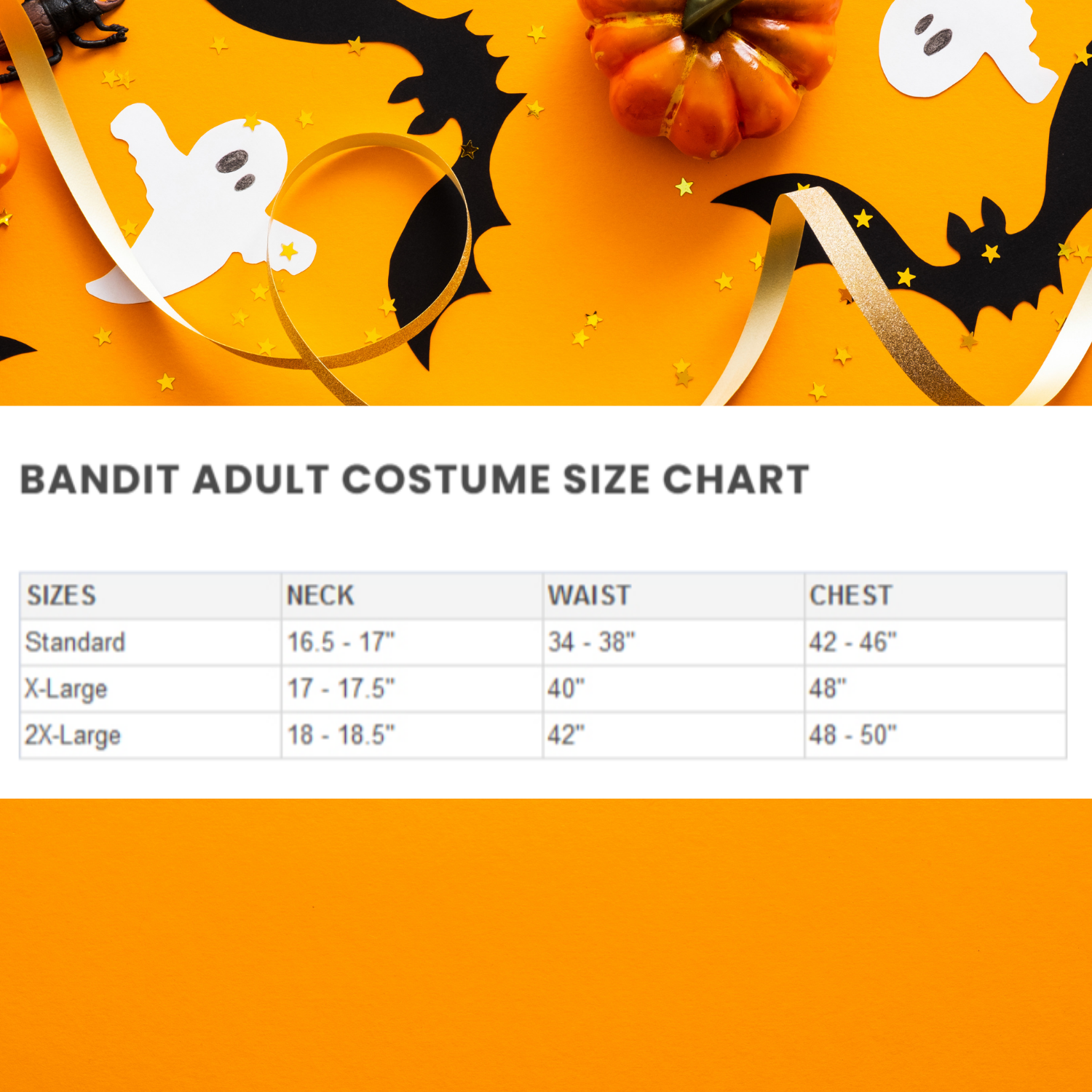 Halloween Bandit Adult Costume